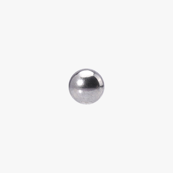 Stainless Steel Balls (10PCS)